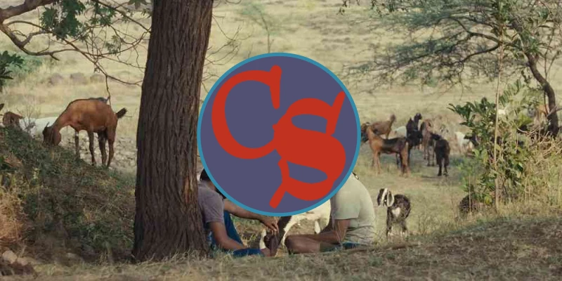 The Cinesexual on Letterboxd